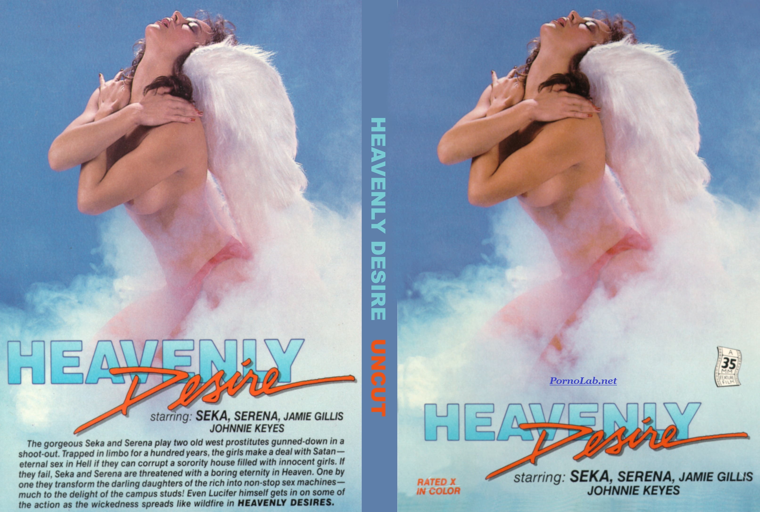 Heavenly Desire / Небесное желание   , Hillary Summers , Dani Williams, Mike Ranger , Jon Martin , Jamie Gillis , Eileen Welles , Aubrey Nichols , Debi Gunter, Michael O Leary, Liza Dwyer , Susan McQuire)